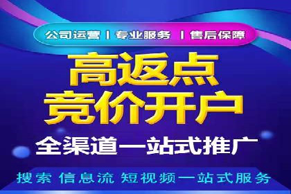 百度视频广告投放技巧：案例分享成功经验